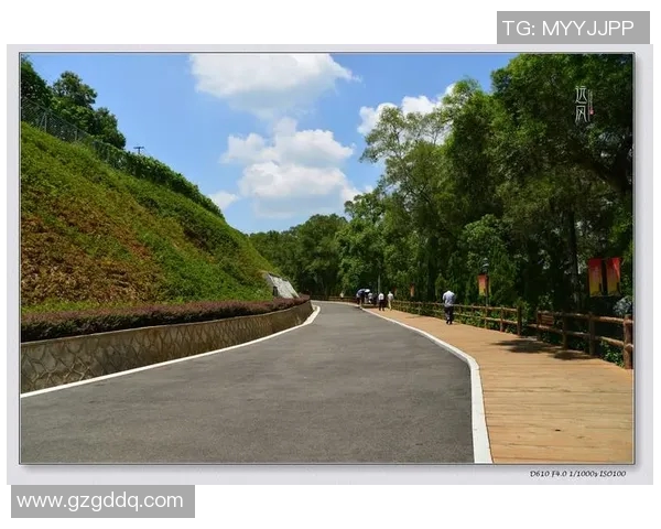 揭秘张娜如何引领英雄联盟走向成功的秘诀与策略 揭秘张娜如何引领英雄联盟走向成功的秘诀与策略